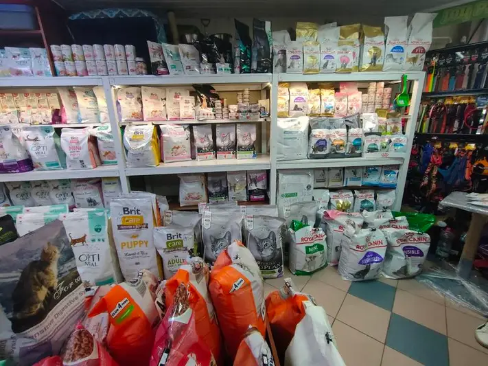 Фото компанії Зоомагазин "TOGO"