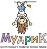 Логотип компанії Центр раннього розвитку "Мудрик"