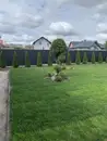 Фото компанії Greenery