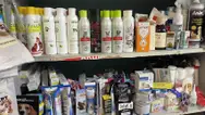 Фото компанії Мережа зоомагазинів "Коала"