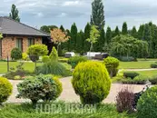 Фото компанії Флора дизайн