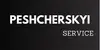 Логотип компанії Peshcherskyi.service
