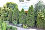 Фото компанії Light Hall