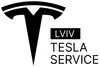 Логотип компанії Lviv.tesla.service