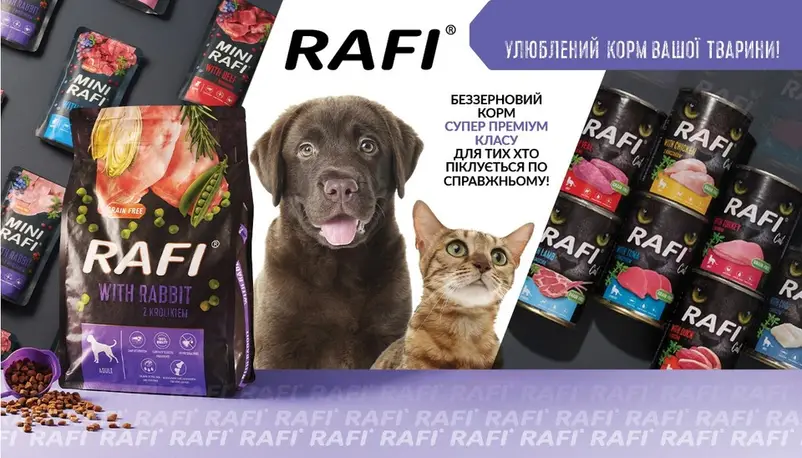 Фото компанії MyFriends