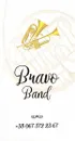 Фото компанії Музичний гурт "Bravo Band"