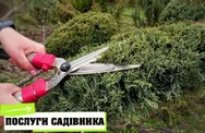 Фото компанії Зелена оселя