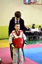 Фото компанії Vesta Taekwondo Team