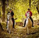 Фото компанії Школа верхової їзди Марії Бродської