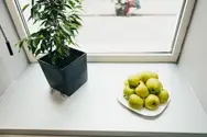 Фото компанії My Apple Style