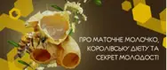 Фото компанії Фітапісвіт
