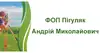 Логотип компанії ФОП "Пігуляк Андрій Миколайович"