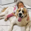 Фото компанії Грумінг салон "Pet Joy"