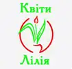 Фото компанії Магазин-склад "Лілія"