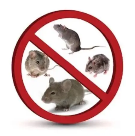 Фото компанії Pest Control West