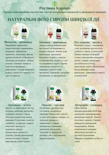 Фото компанії Рослина Карпат
