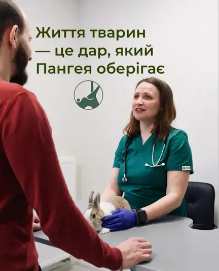 Фото компанії Ветеринарний центр "ПАНГЕЯ"