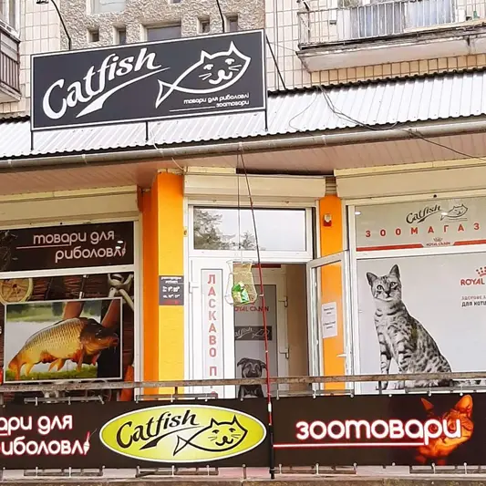 Фото компанії Catfish