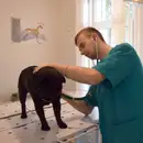 Фото компанії Клініка ветеринарної медицини "Доктор Айболит"