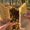 Фото компанії Заточка шаурми