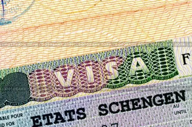 Фото компанії Фірма "Visa"