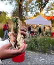 Фото компанії Mozza