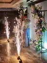 Фото компанії Ведуча на свято "ira__kalina"