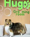 Фото компанії Грумінг салон "Hugo Grooming room"