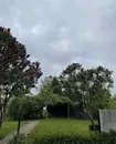 Фото компанії Реабілітаційний центр "Я МОЖУ"