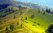 Фото компанії Туристична агенція "Файнотур"