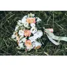Фото компанії Flower King