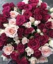 Фото компанії Jardin de fleurs