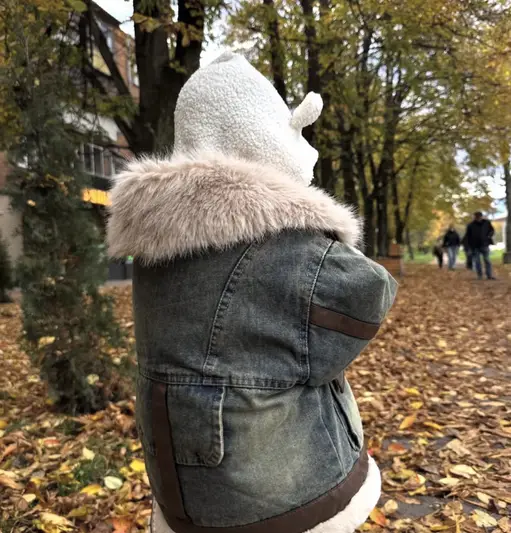 Фото компанії Магазин "Зірочка"