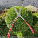 Фото компанії Green Guys