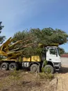 Фото компанії Green Life Trees