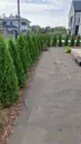 Фото компанії Ggarden_scape