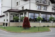 Фото компанії Готельно-ресторанний комплекc "Soprano Inn"