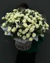 Фото компанії AMSTER