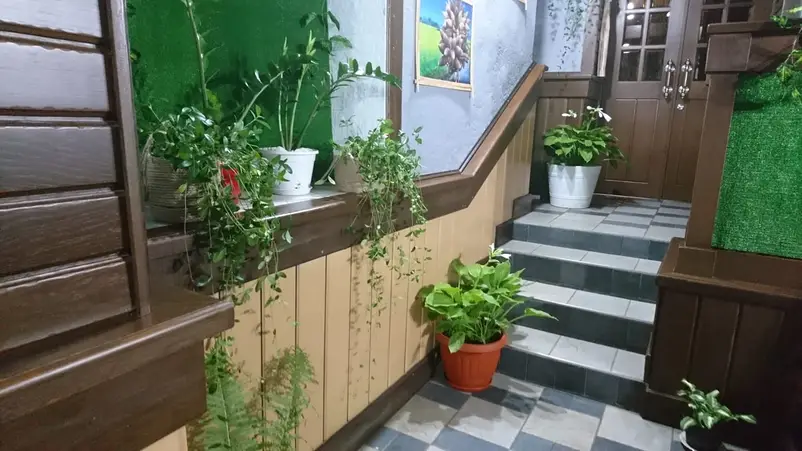 Фото компанії В'єтнамська кухня