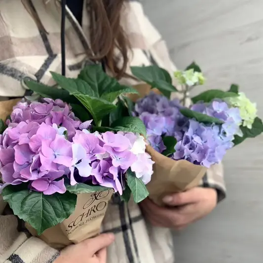 Фото компанії Магазин квітів "la_BoTANICA"