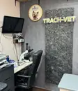 Фото компанії Ветеринарна амбулаторія "Trach VET"