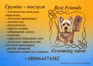 Фото компанії Грумінг салон "Best Friends"