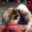 Фото компанії Зооготель "Lucky"