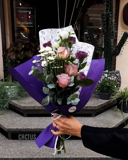 Фото компанії Cactus