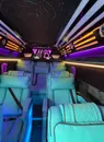 Фото компанії Перевізник "Malina _bus"