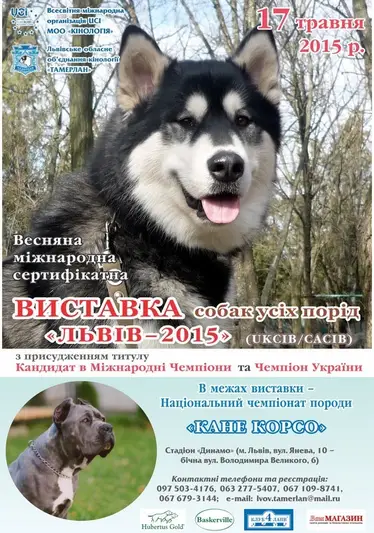 Фото компанії Львівське обласне об'єднання кінології "Тамерлан"