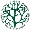 Логотип компанії Медична практика "Медлюкс"