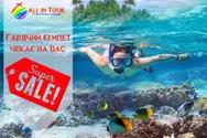 Фото компанії Туристична агенція "All in tour"
