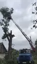 Фото компанії Обрізка дерев по Львівські