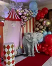 Фото компанії Студія декору "Grace"